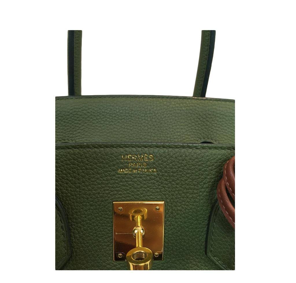 Hermès Birkin 35 Bag Canopee Green