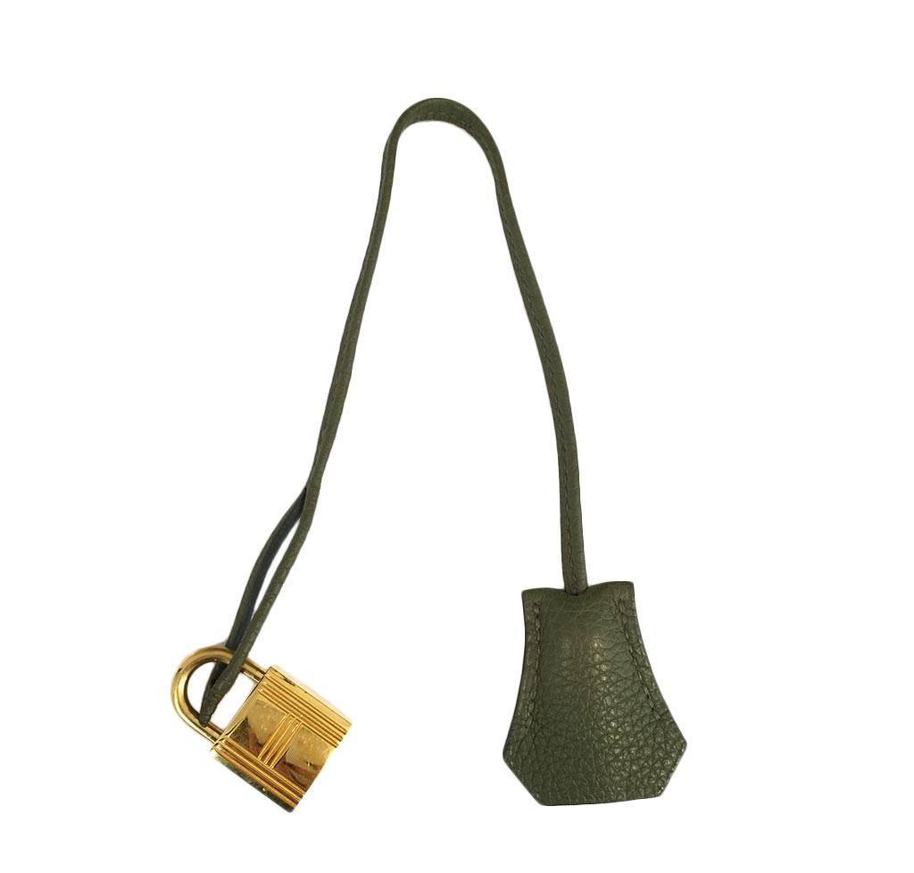 Hermès Birkin 35 Bag Canopee Green