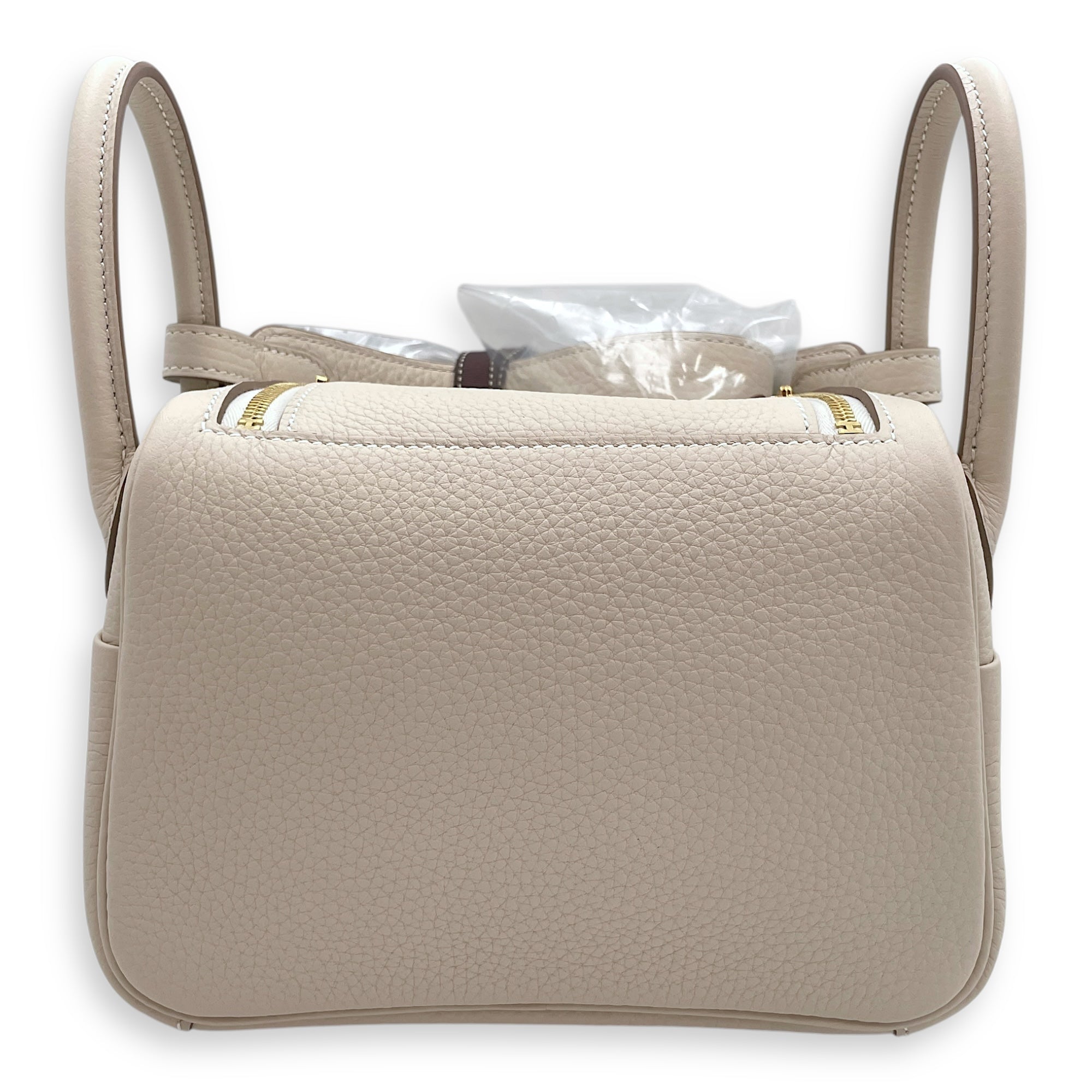 Lindy II Mini Craie in Clemence, Gold hardware