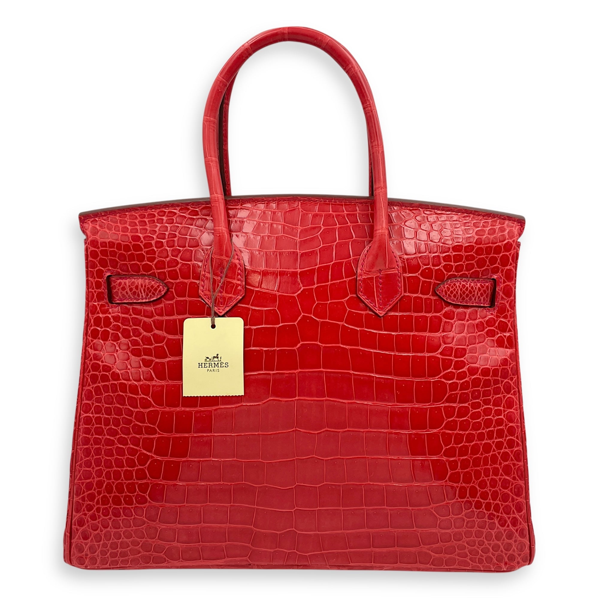 Birkin 30 Bougainvillier in Shiny Porosus, Palladium hardware