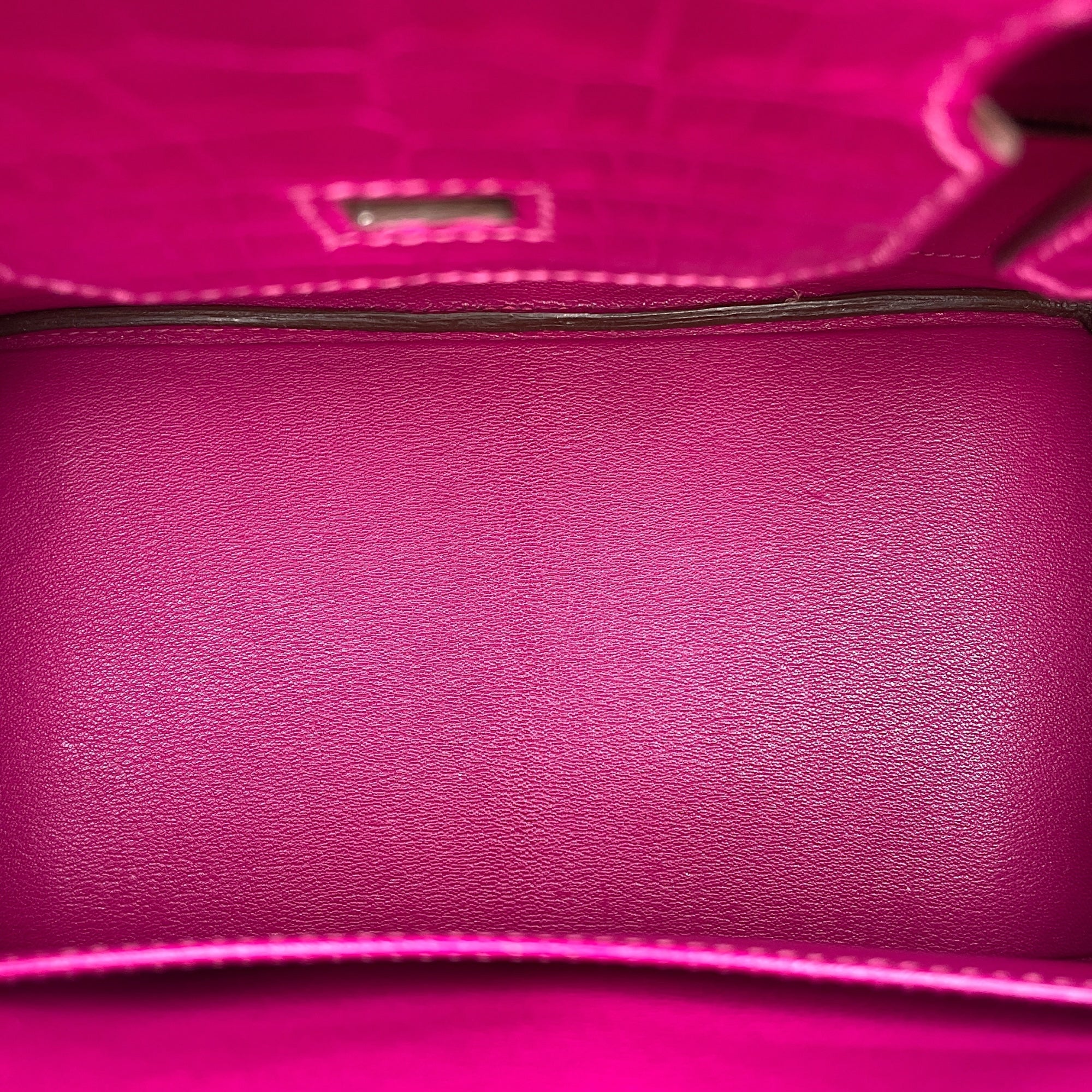 Birkin 30 Rose Sherazade in Shiny Niloticus, Gold hardware