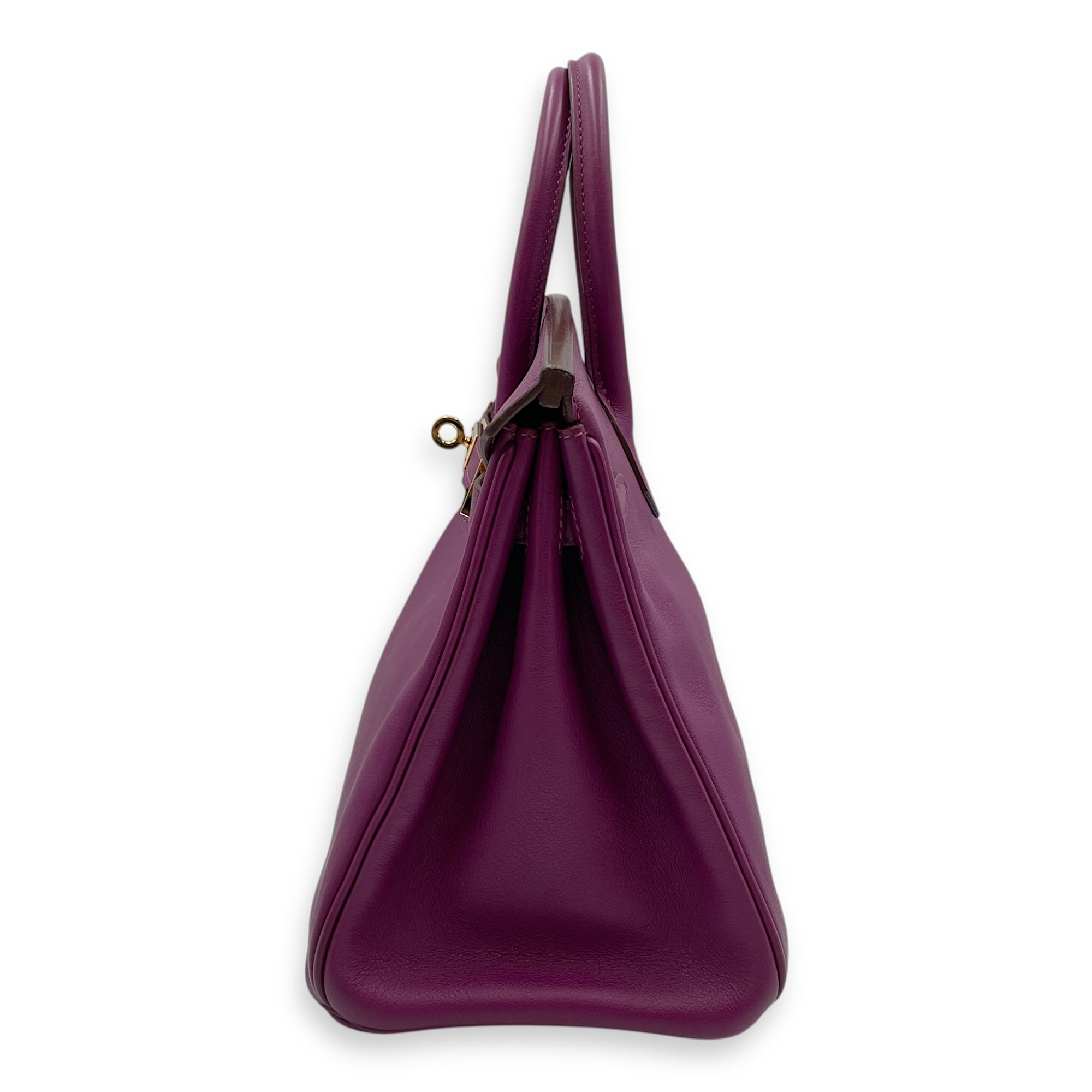 Birkin 25 Anemone in Swift, Gold hardware