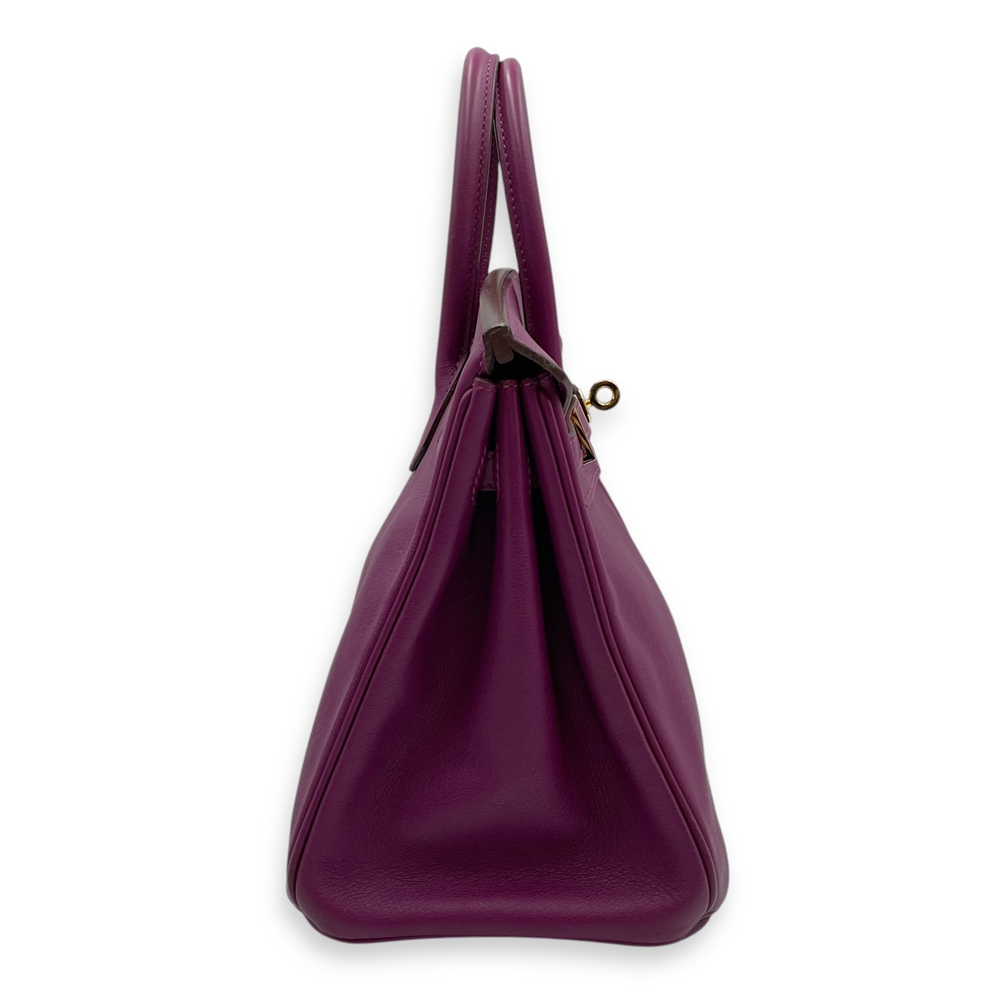 Birkin 25 Anemone in Swift, Gold hardware