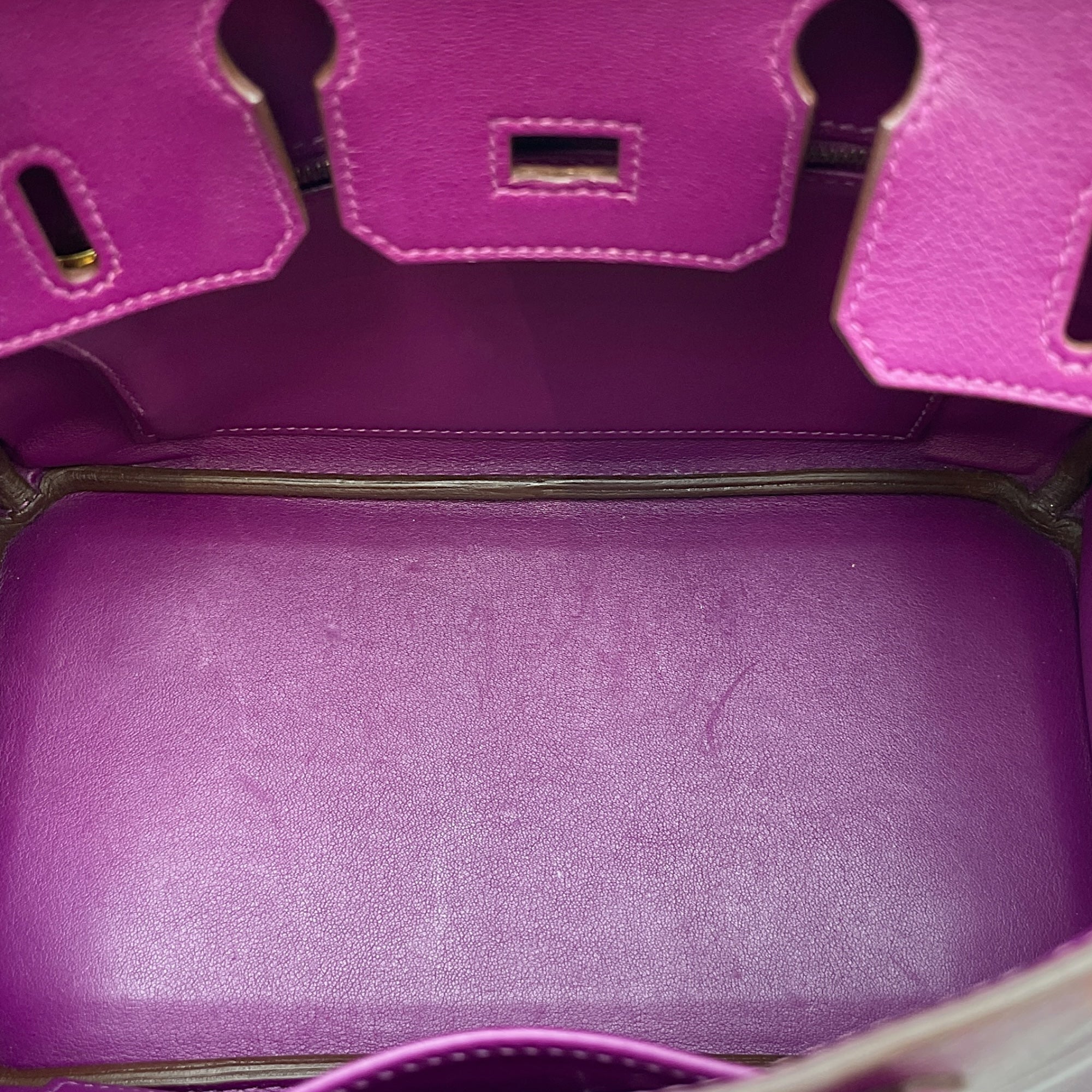 Birkin 25 Anemone in Swift, Gold hardware