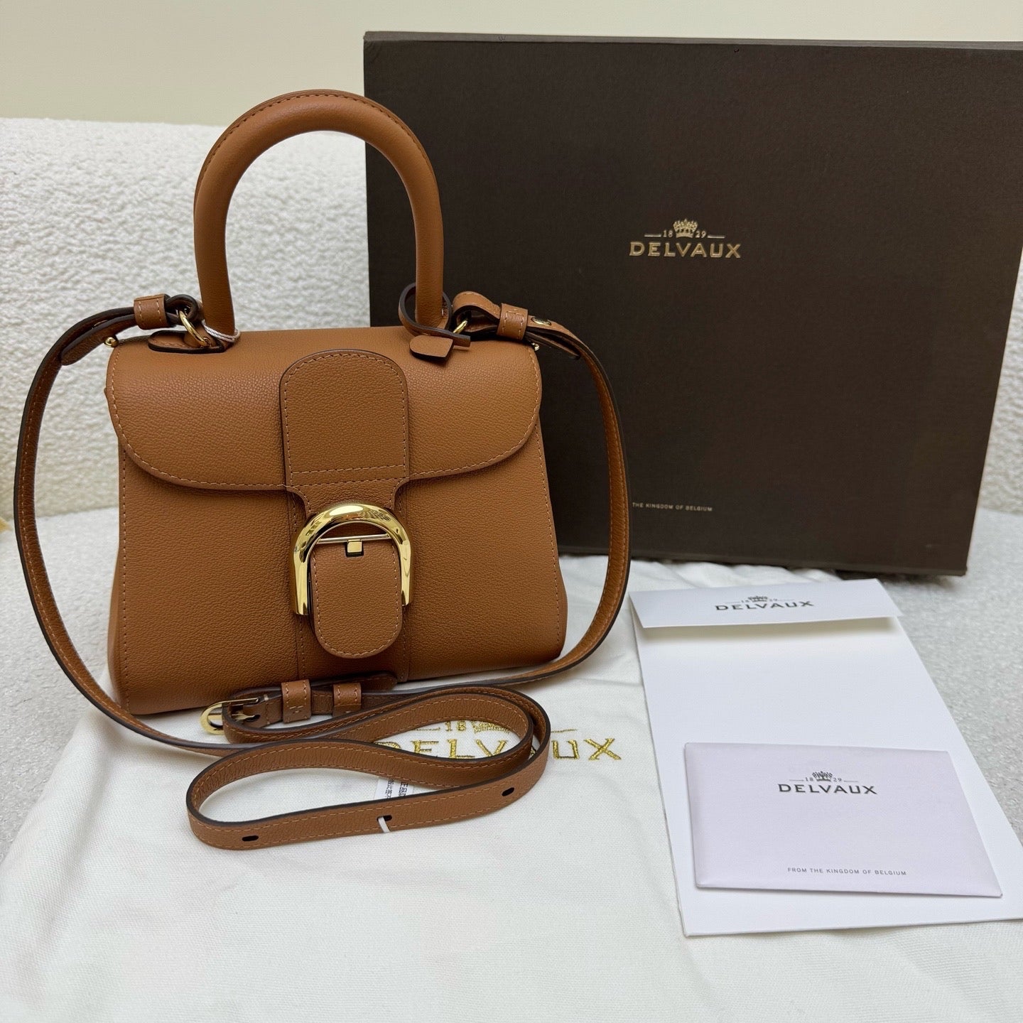 Delvaux Mini Brillant Gold Brown Gold Buckle Handheld Shoulder Bag