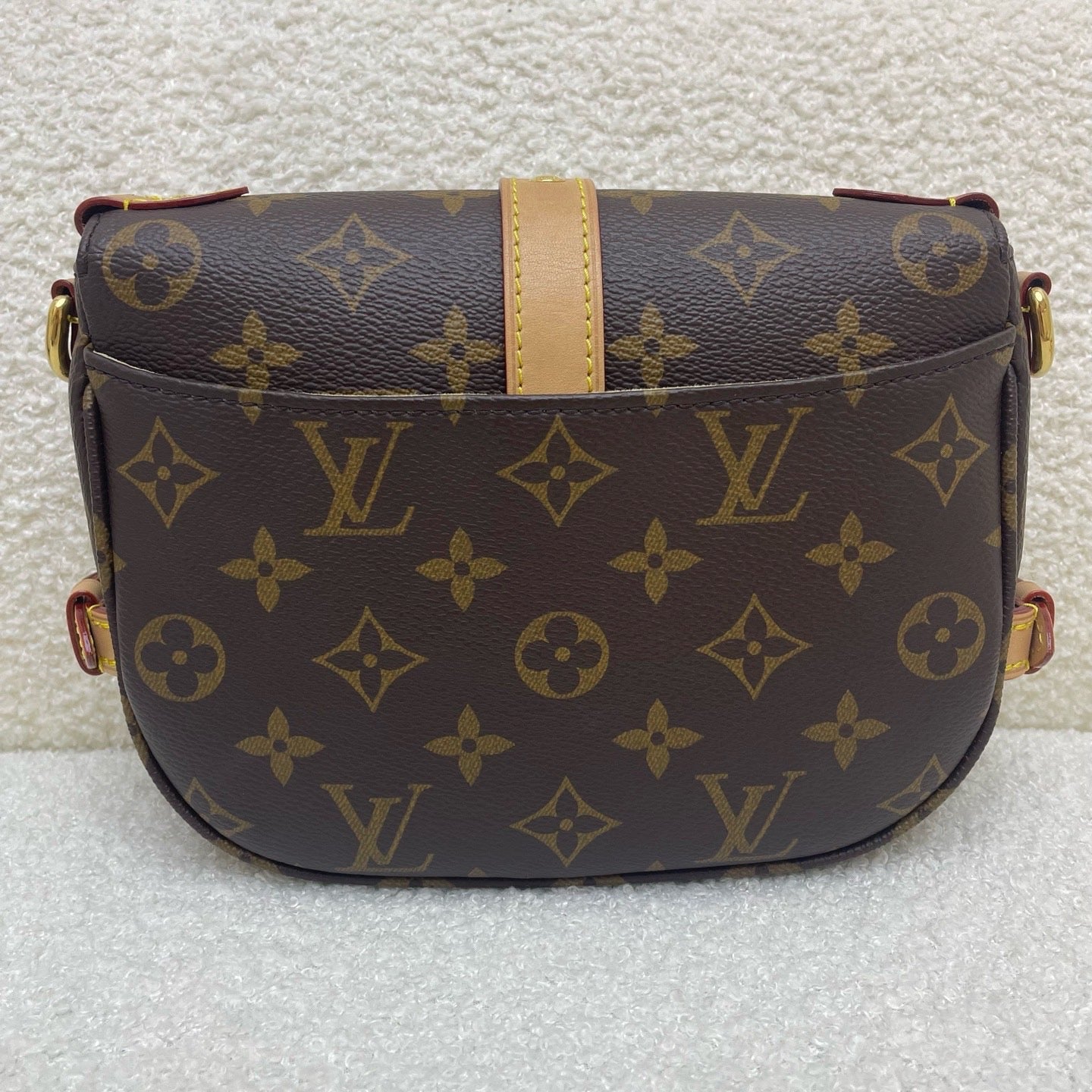 Louis Vuitton LV Monogram Saumur BB