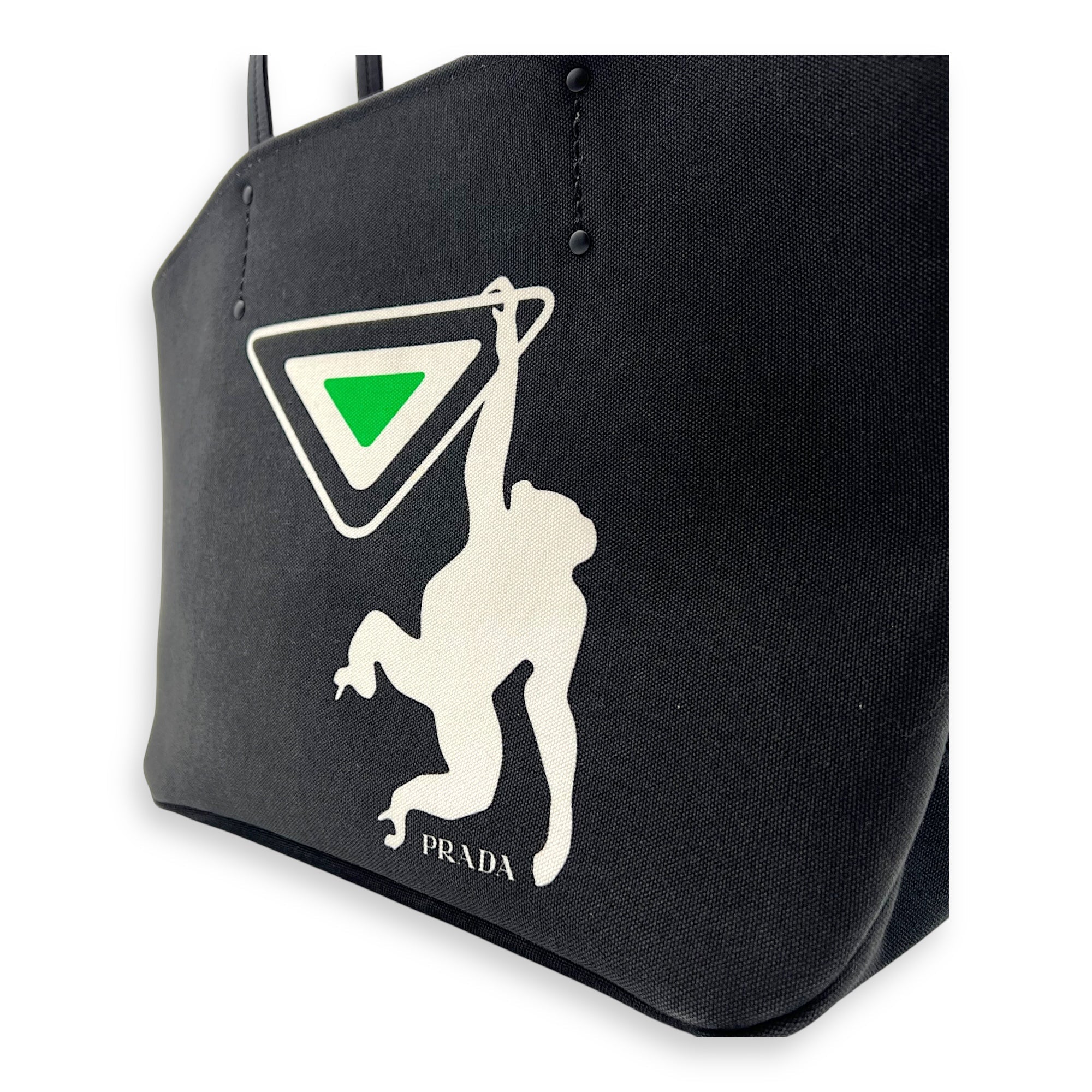 Canapa Tote Bag Black in Canvas