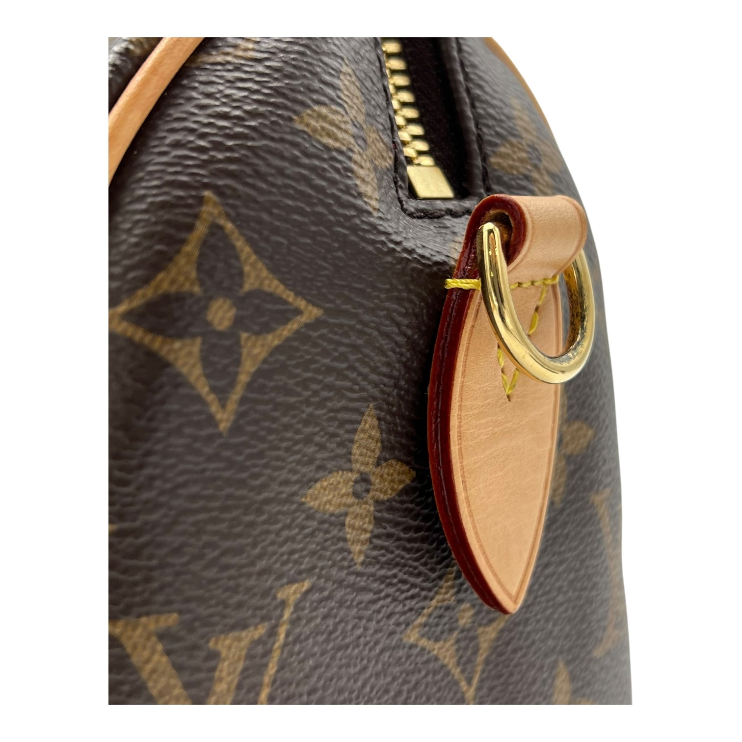 Speedy Top Handle Bag 20 Brown in Monogram Coated Canvas, Gold hardware