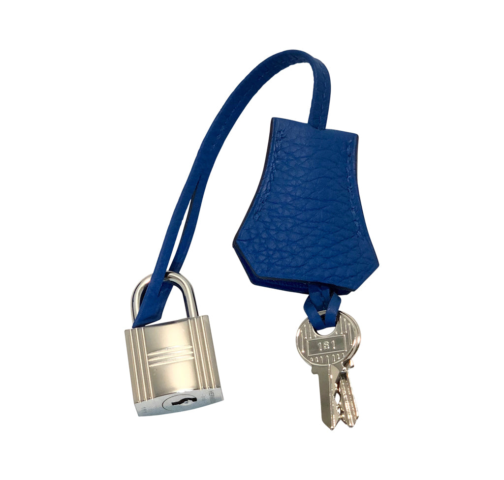 Hermès Birkin 25 Togo Bleu Zellige Bag