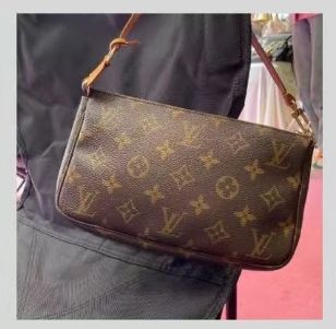 LOUIS VUITTON Monogram Pochette Accessories